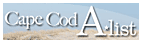 cape cod headlines day spa salon  winner